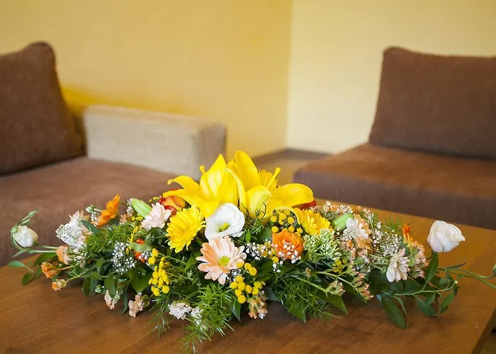 Strandzha - Free Parking 金沙